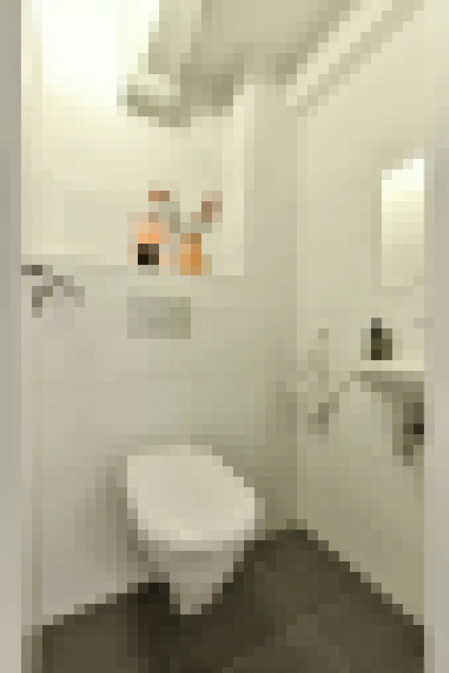 Brouwersgracht 254 E Amsterdam thumbnail 23