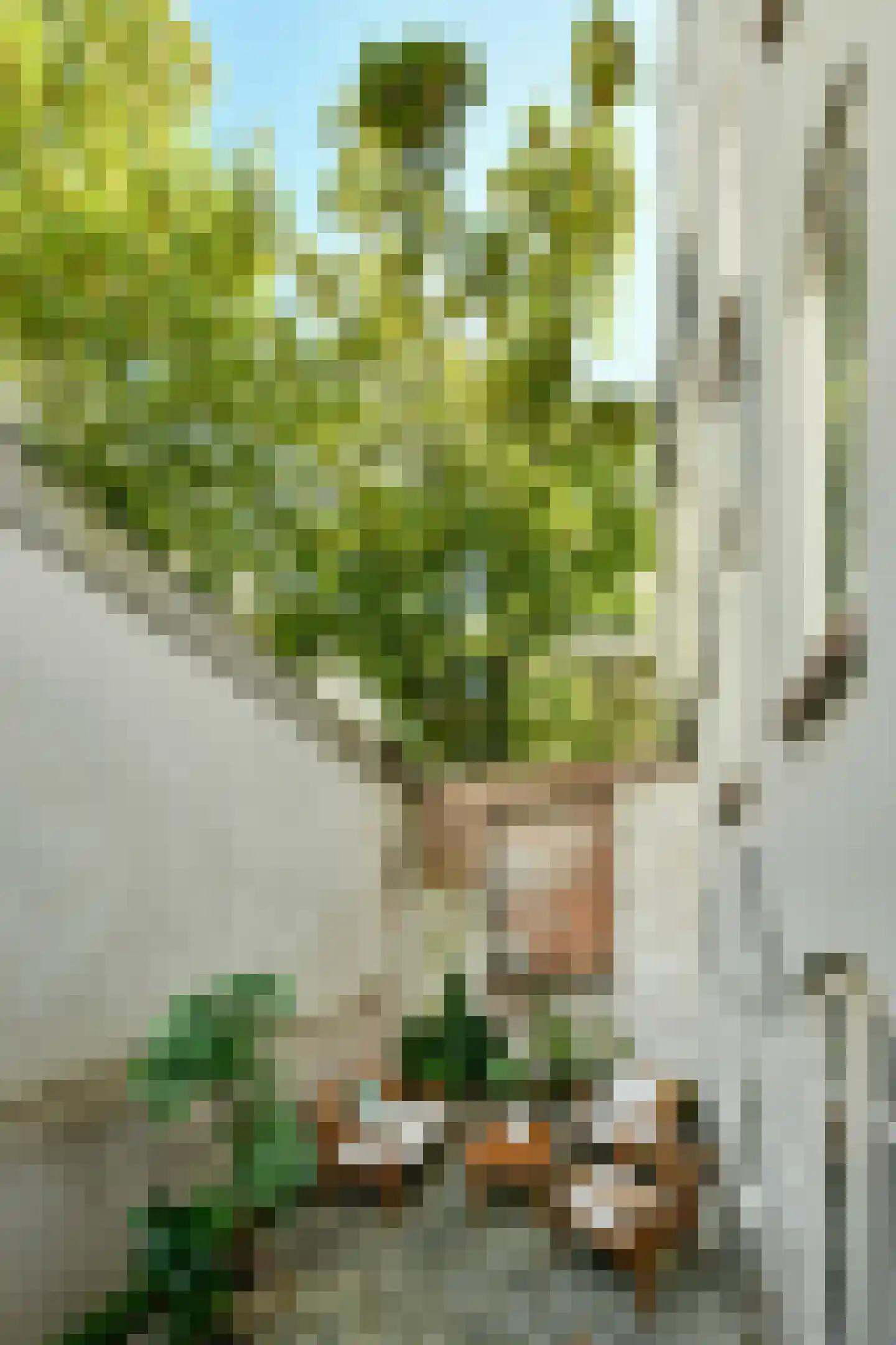 Brouwersgracht 254 E Amsterdam thumbnail 7