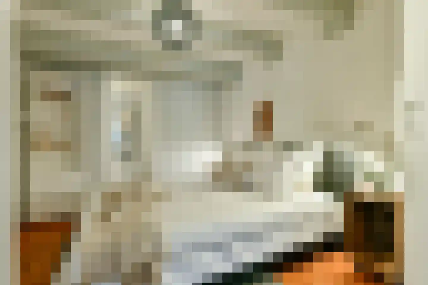 Brouwersgracht 254 F Amsterdam thumbnail 18