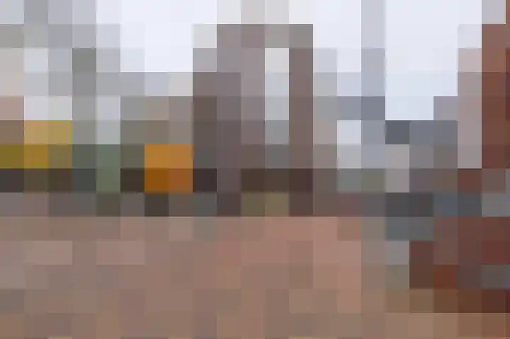 Brouwersgracht 273 Veenendaal thumbnail 32