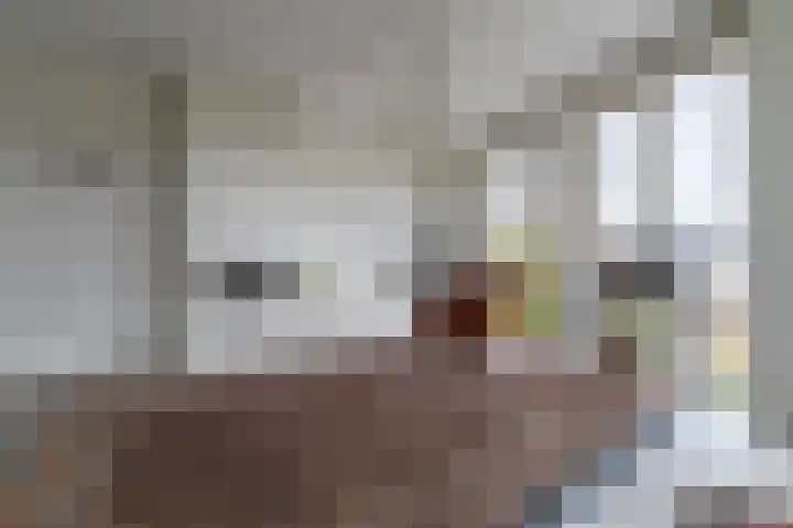 Brouwersgracht 299 Veenendaal thumbnail 18