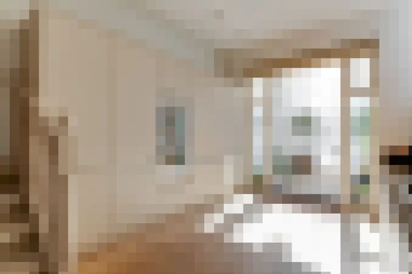 Brouwersgracht 37 Amsterdam thumbnail 17