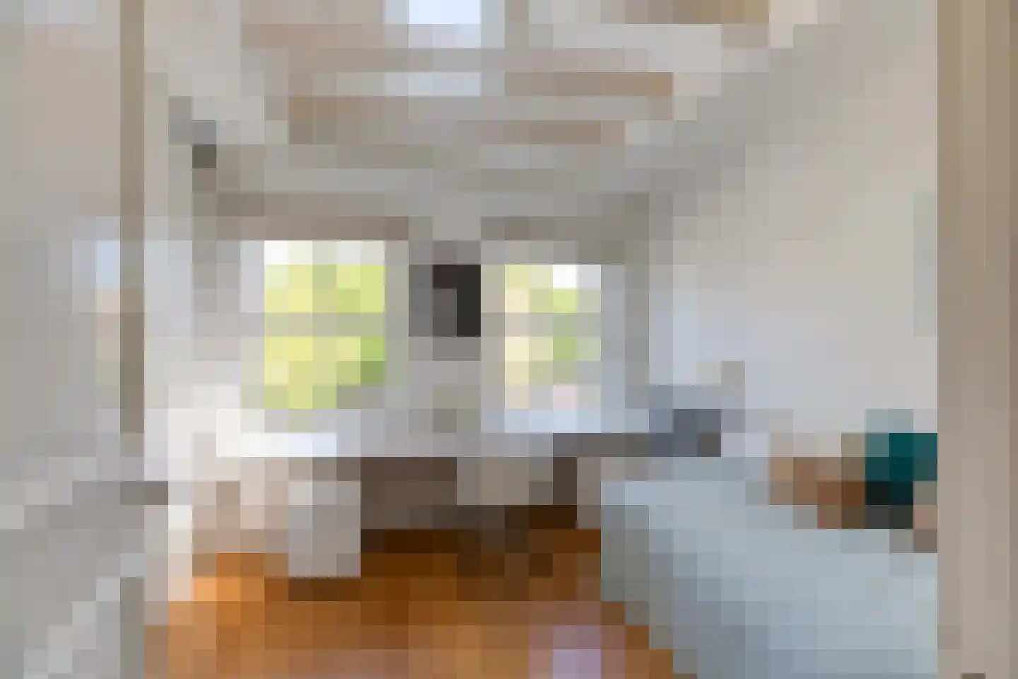 Brouwersgracht 37 Amsterdam thumbnail 33