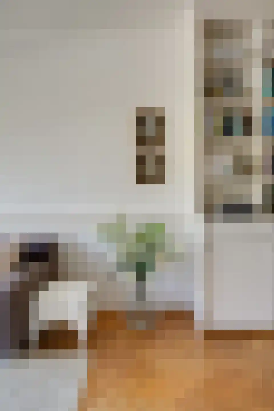 Brouwersgracht 37 Amsterdam thumbnail 61