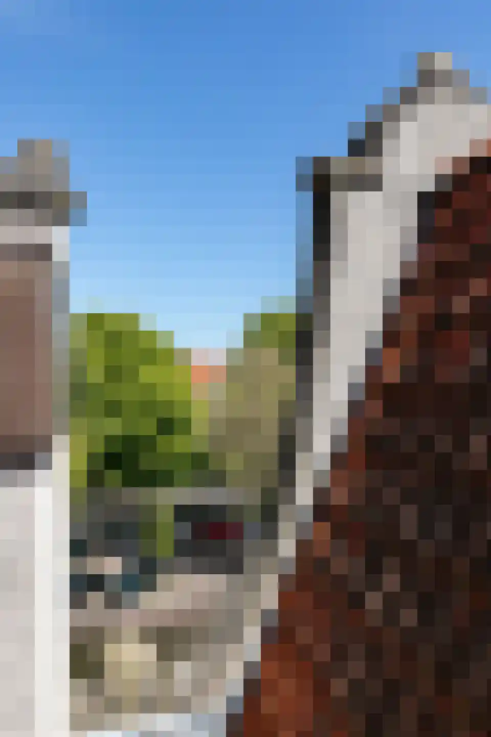 Brouwersgracht 37 Amsterdam thumbnail 68