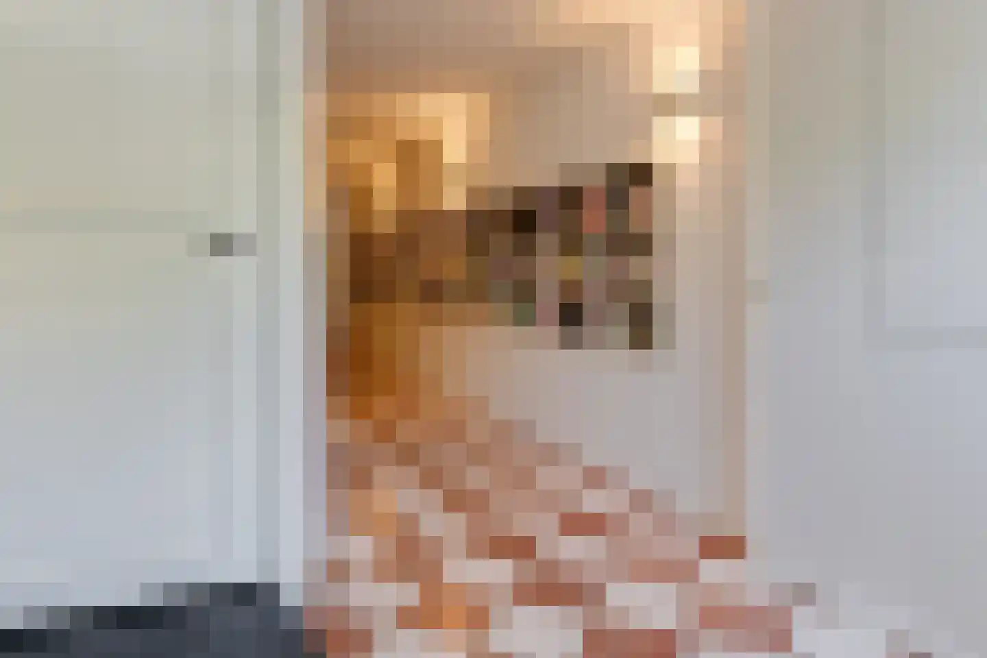 Brouwersgracht 37 Amsterdam thumbnail 9