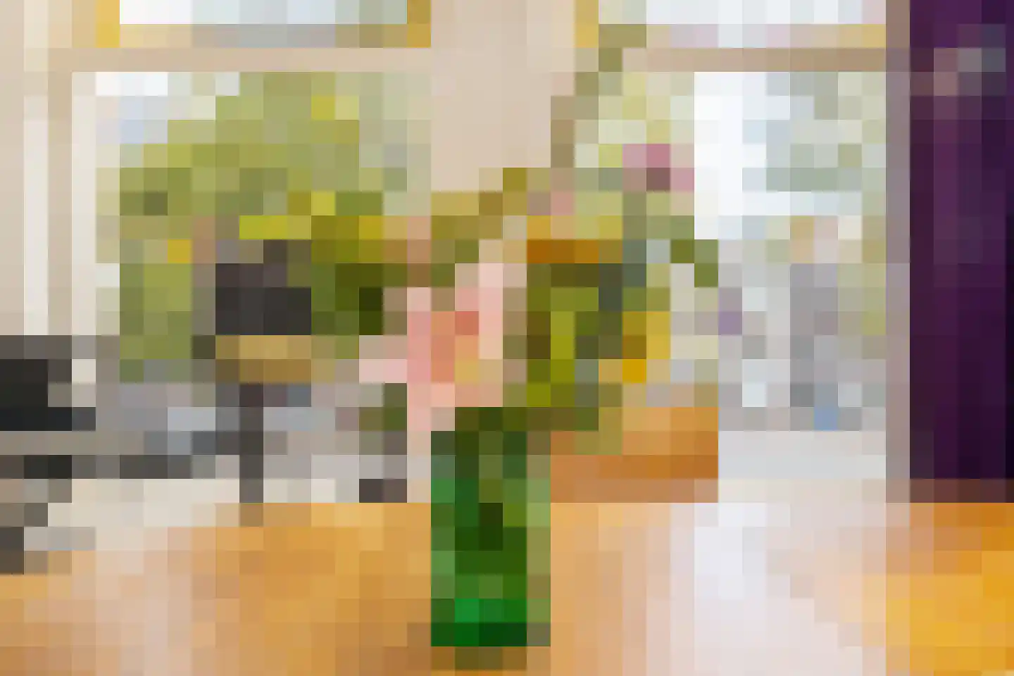 Brouwersgracht 41 Den Haag thumbnail 18