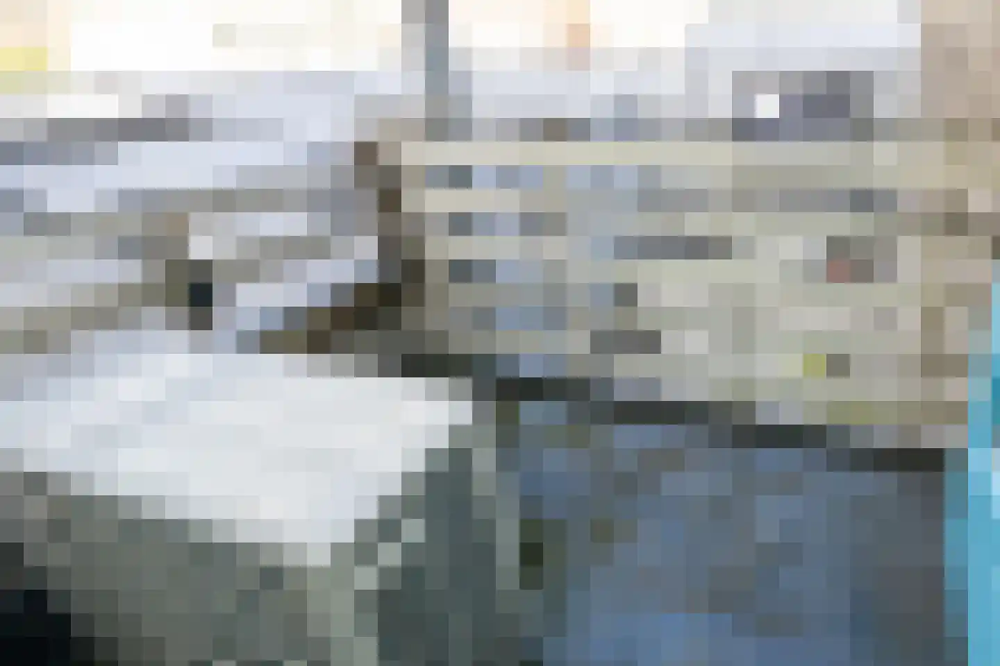 Brouwersgracht 41 Den Haag thumbnail 30
