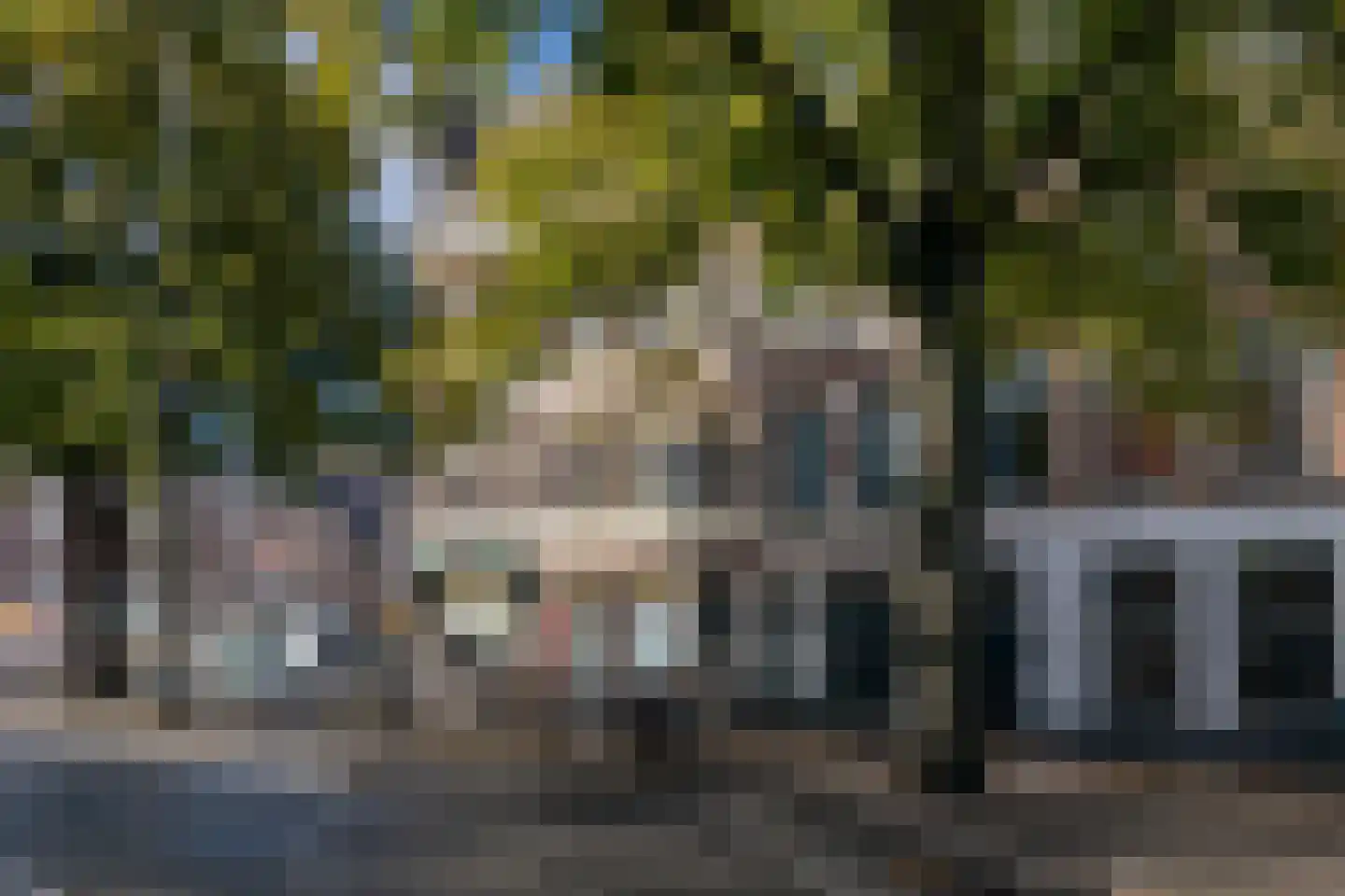 Brouwersgracht 41 Den Haag thumbnail 49