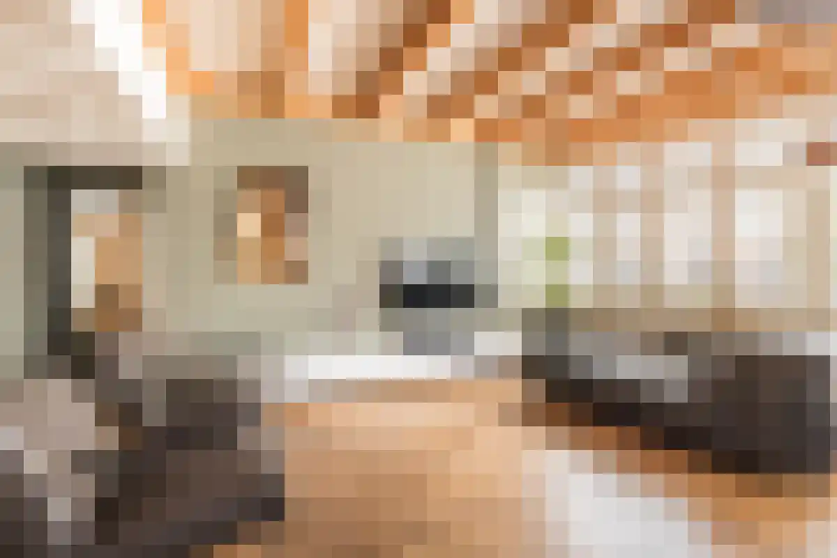 Brouwersgracht 44 Amsterdam thumbnail 5