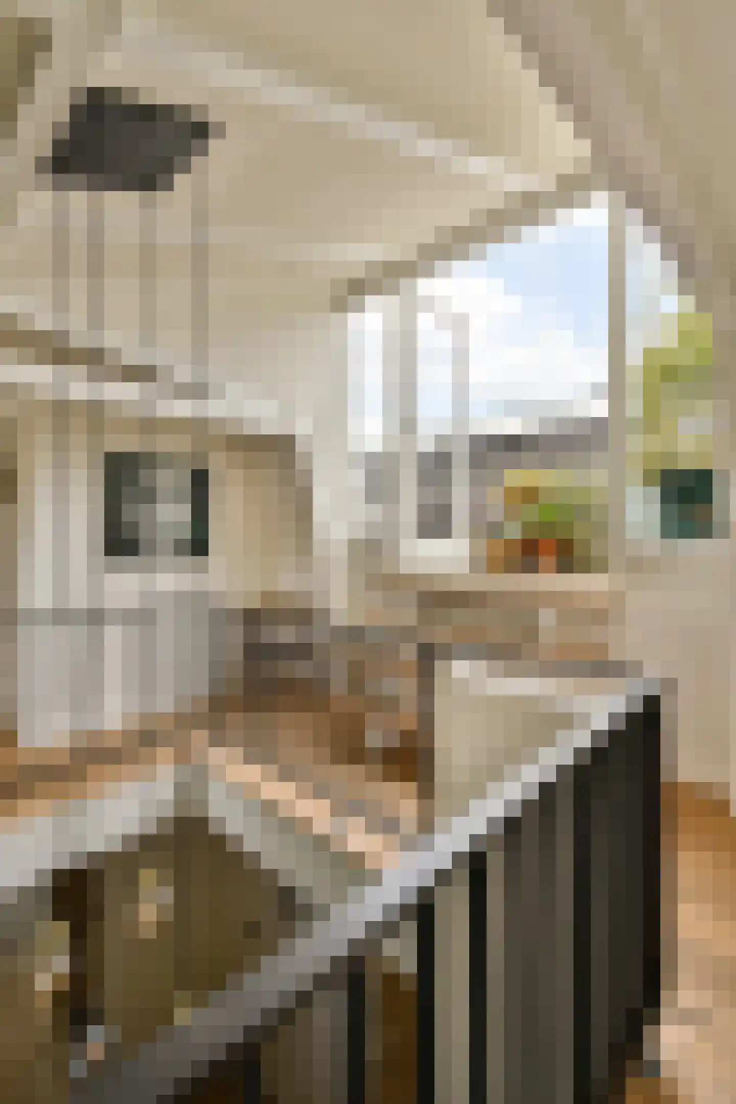 Brouwersgracht 5 H Amsterdam thumbnail 23