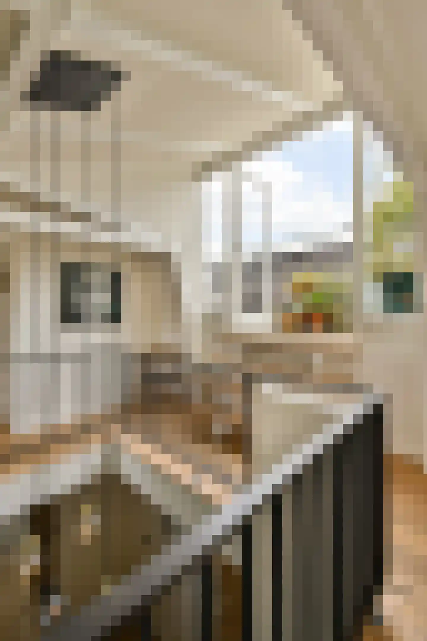 Brouwersgracht 5 H Amsterdam thumbnail 24