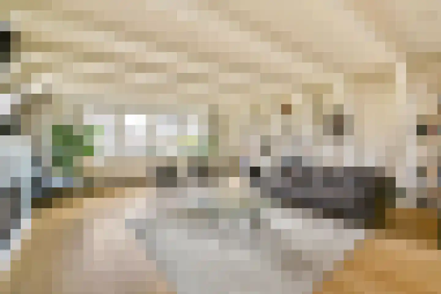 Brouwersgracht 5 H Amsterdam thumbnail 5
