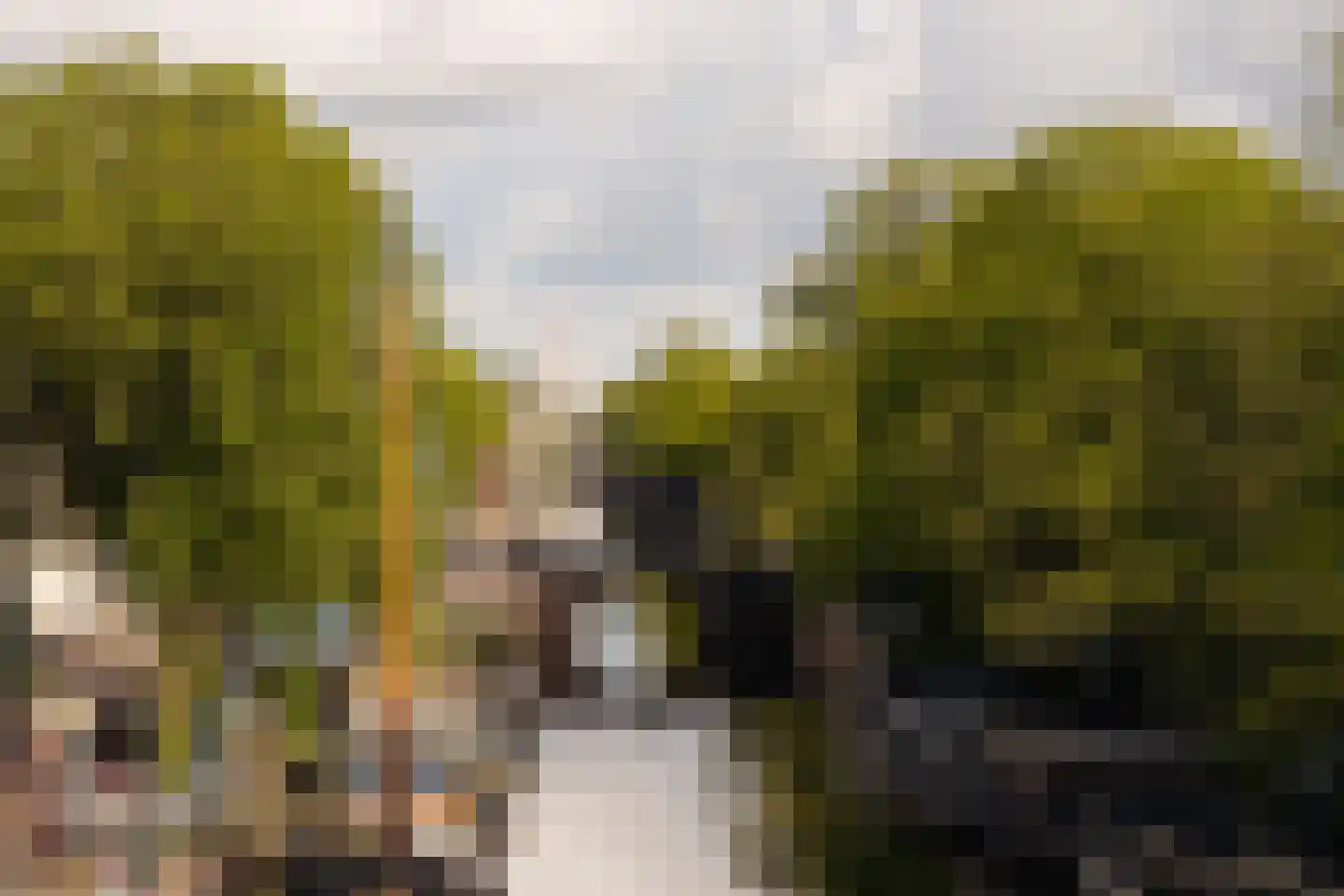 Brouwersgracht 55 C Amsterdam thumbnail 10