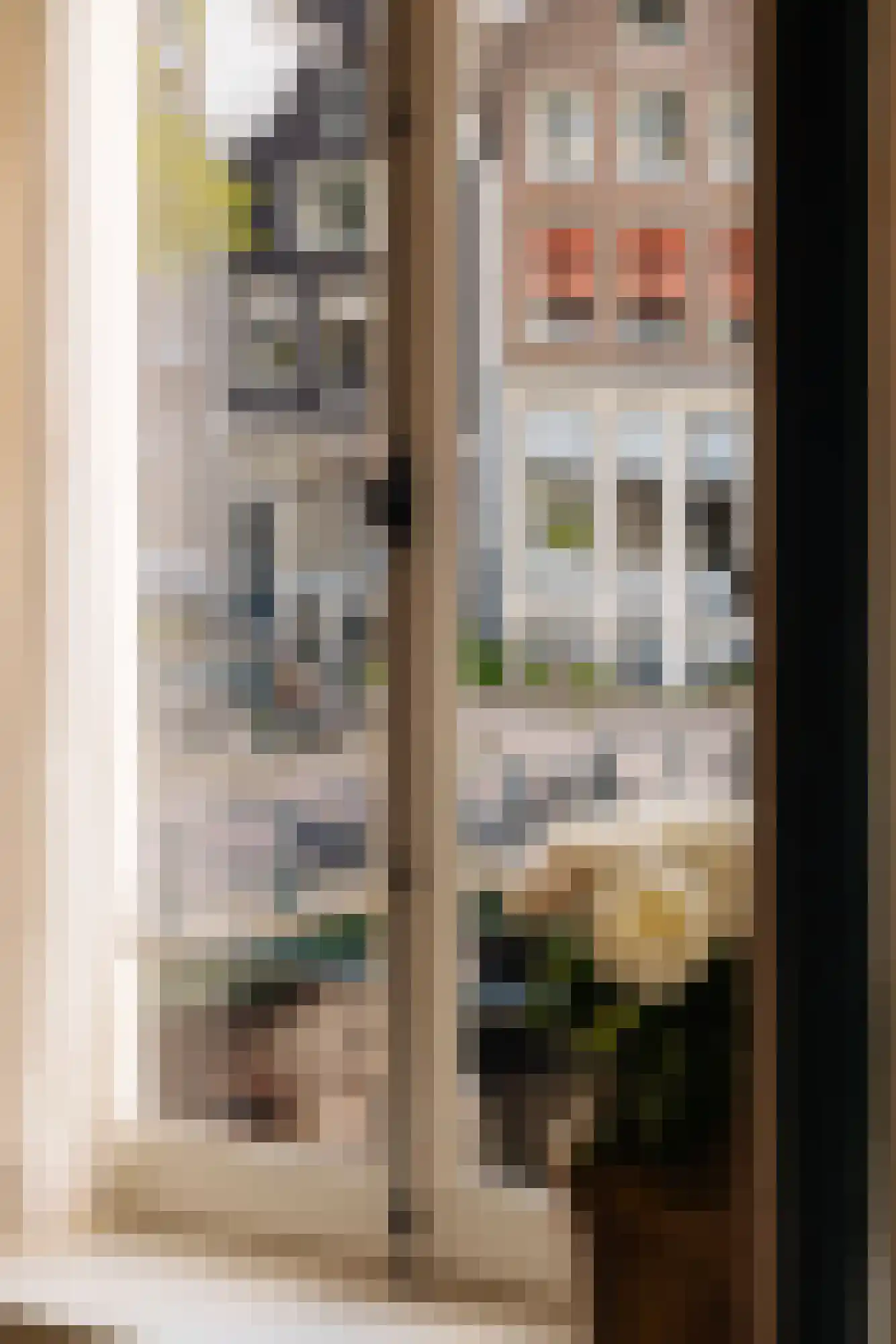 Brouwersgracht 55 C Amsterdam thumbnail 11