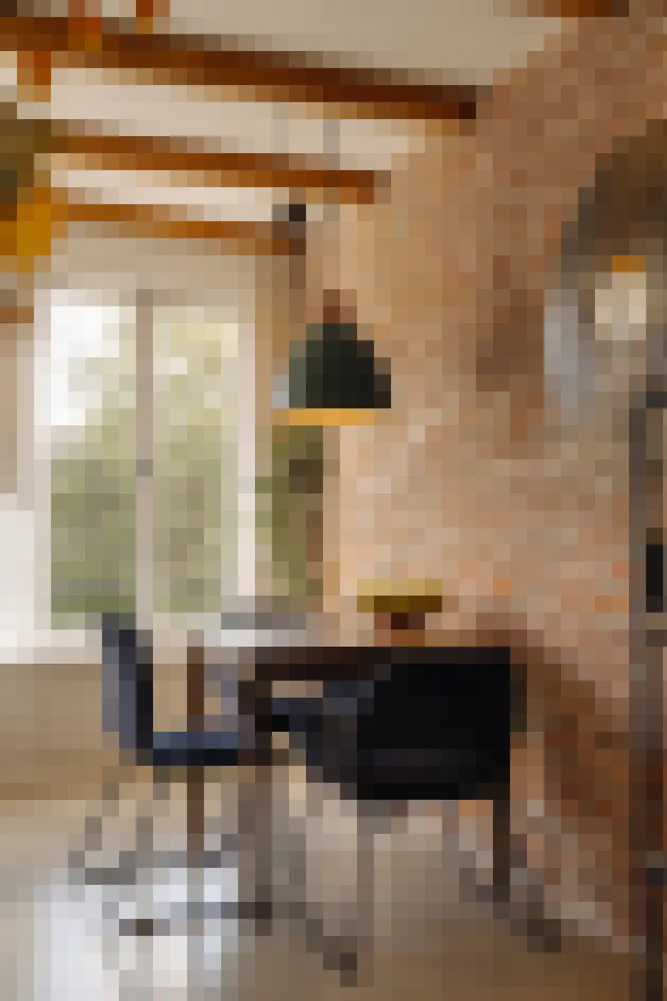 Brouwersgracht 55 C Amsterdam thumbnail 13