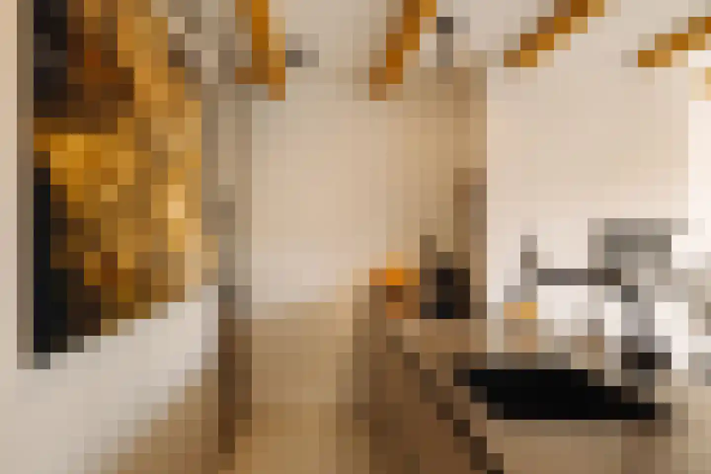 Brouwersgracht 55 C Amsterdam thumbnail 15