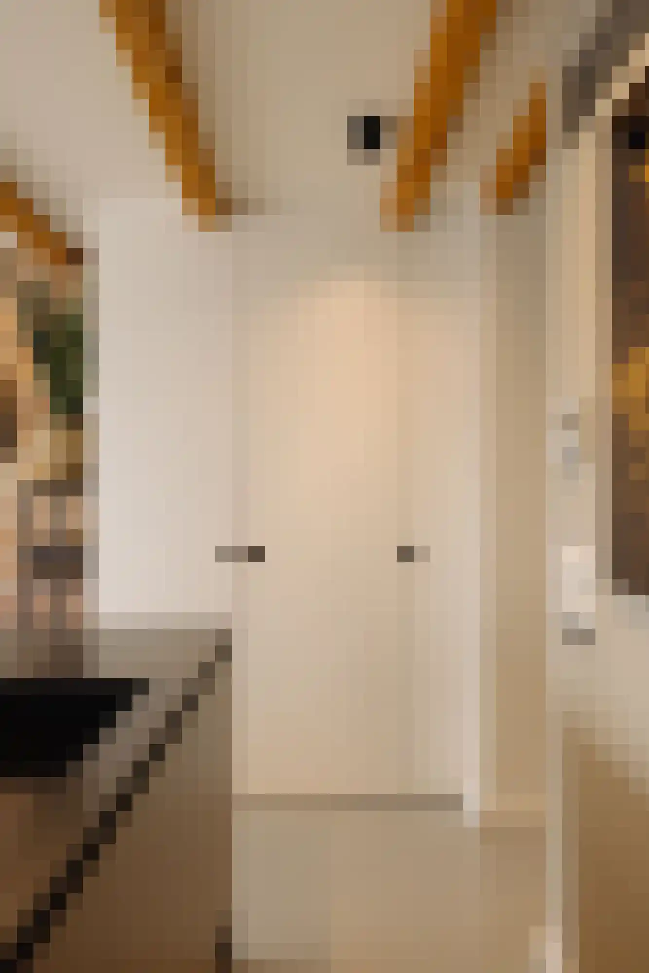 Brouwersgracht 55 C Amsterdam thumbnail 17