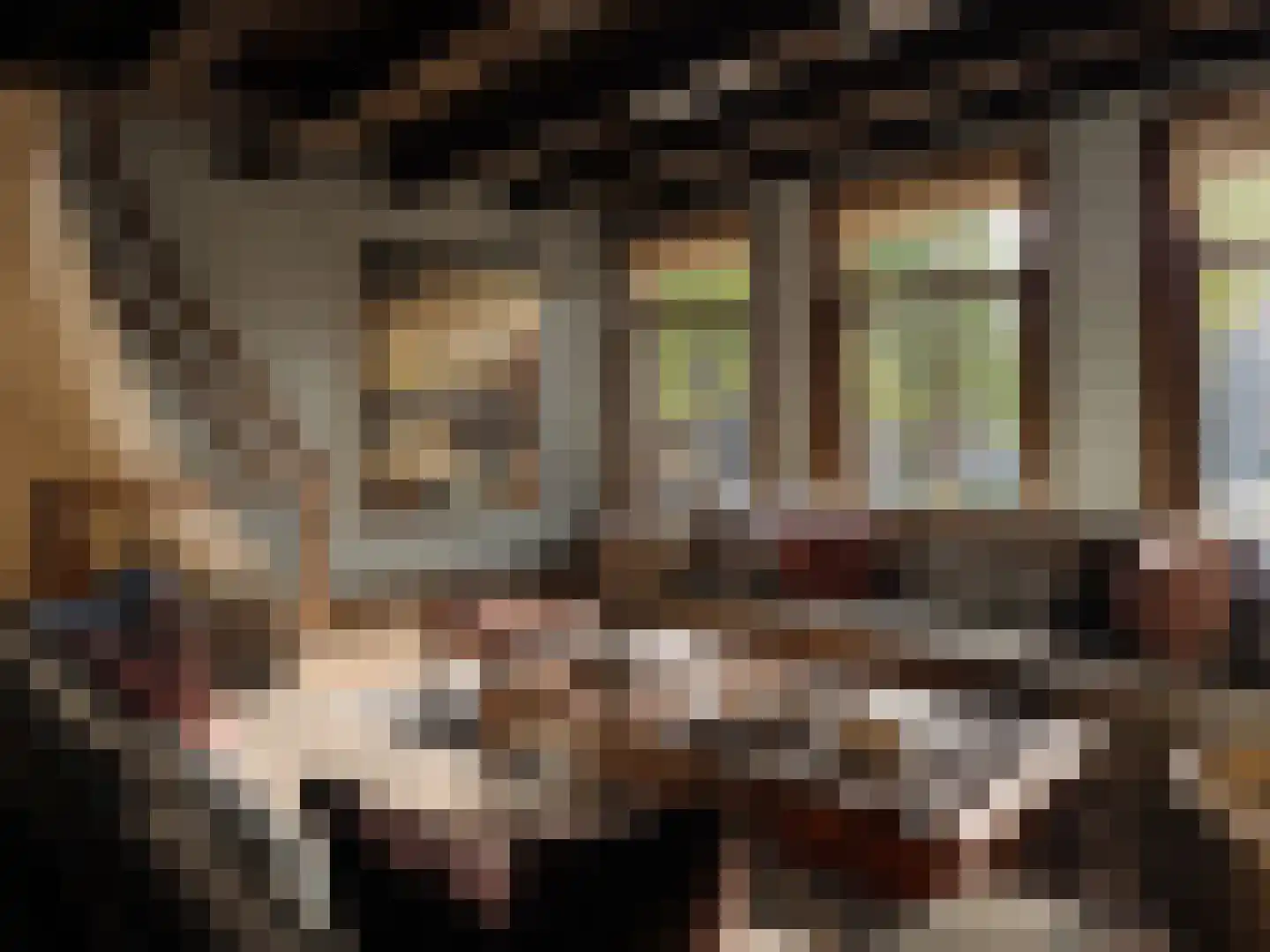 Brouwersgracht 58 Amsterdam thumbnail 12