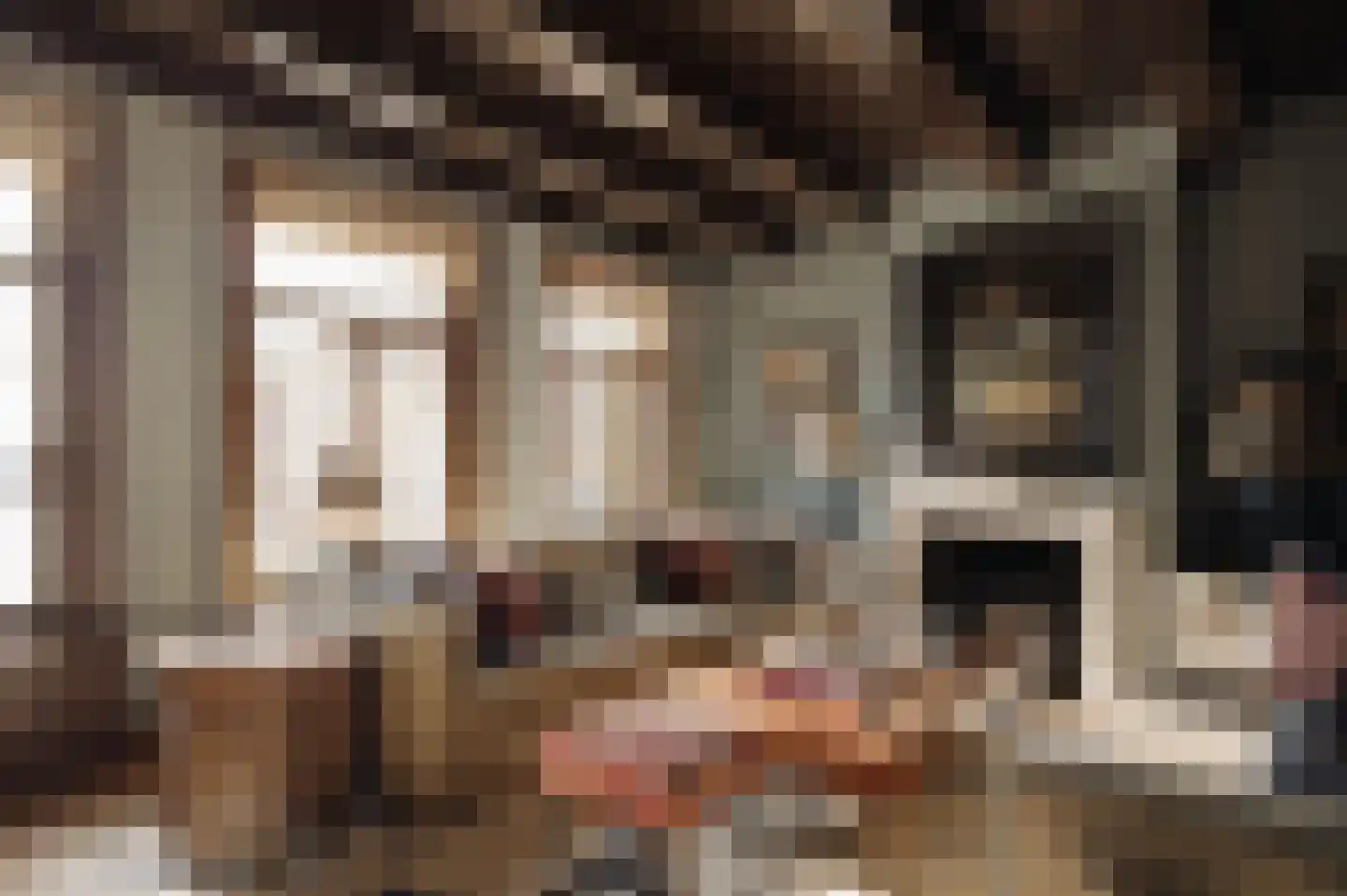 Brouwersgracht 58 Amsterdam thumbnail 13