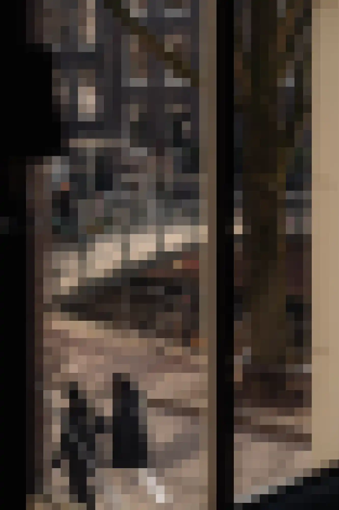 Brouwersgracht 58 Amsterdam thumbnail 18