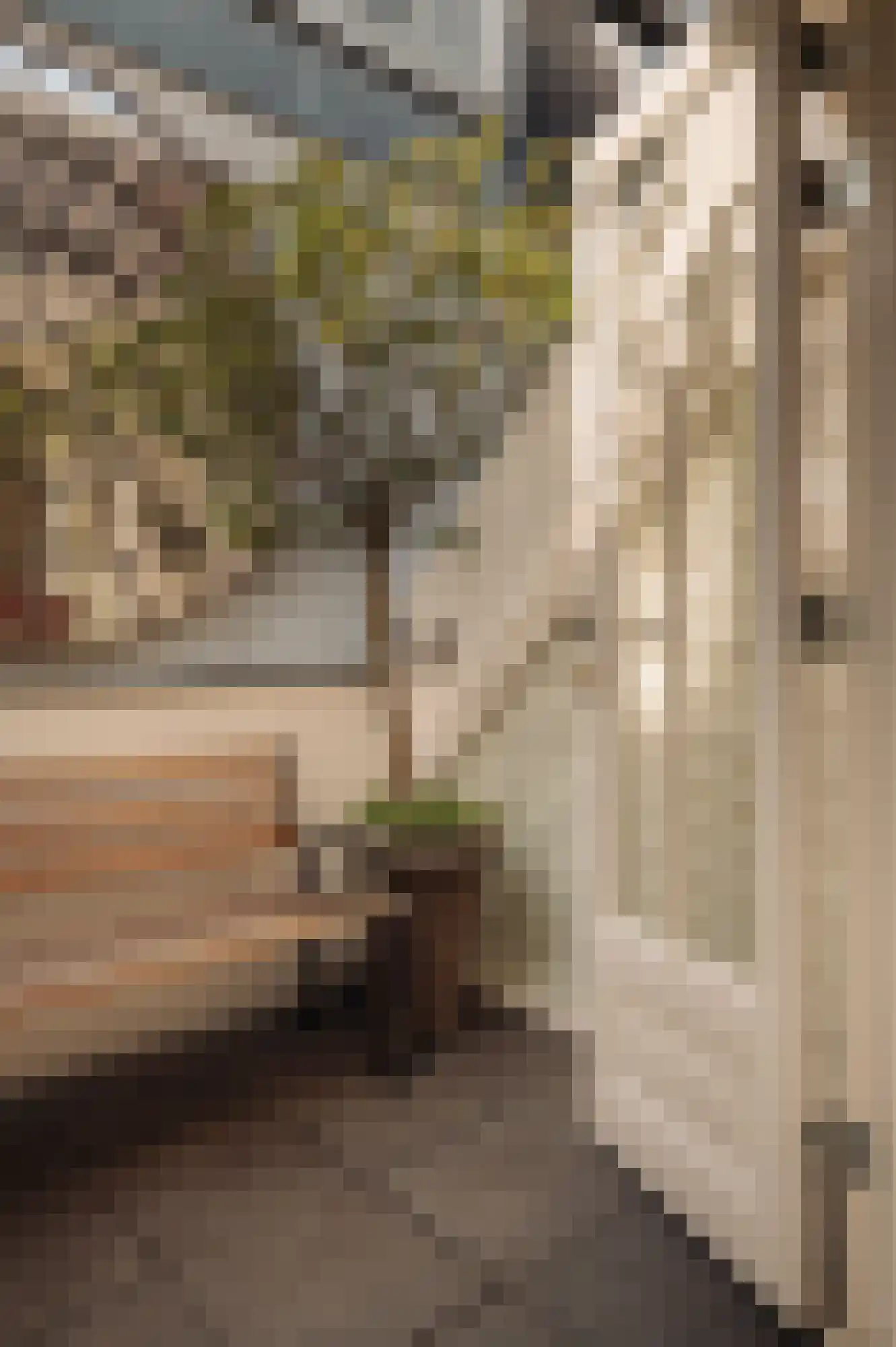 Brouwersgracht 58 Amsterdam thumbnail 32