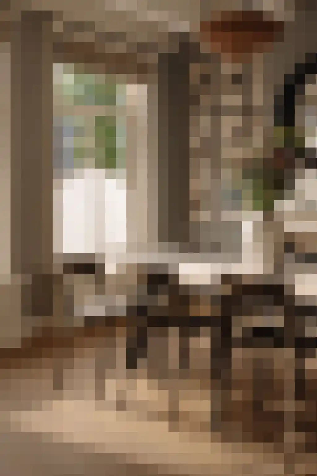Brouwersgracht 58 Amsterdam thumbnail 4