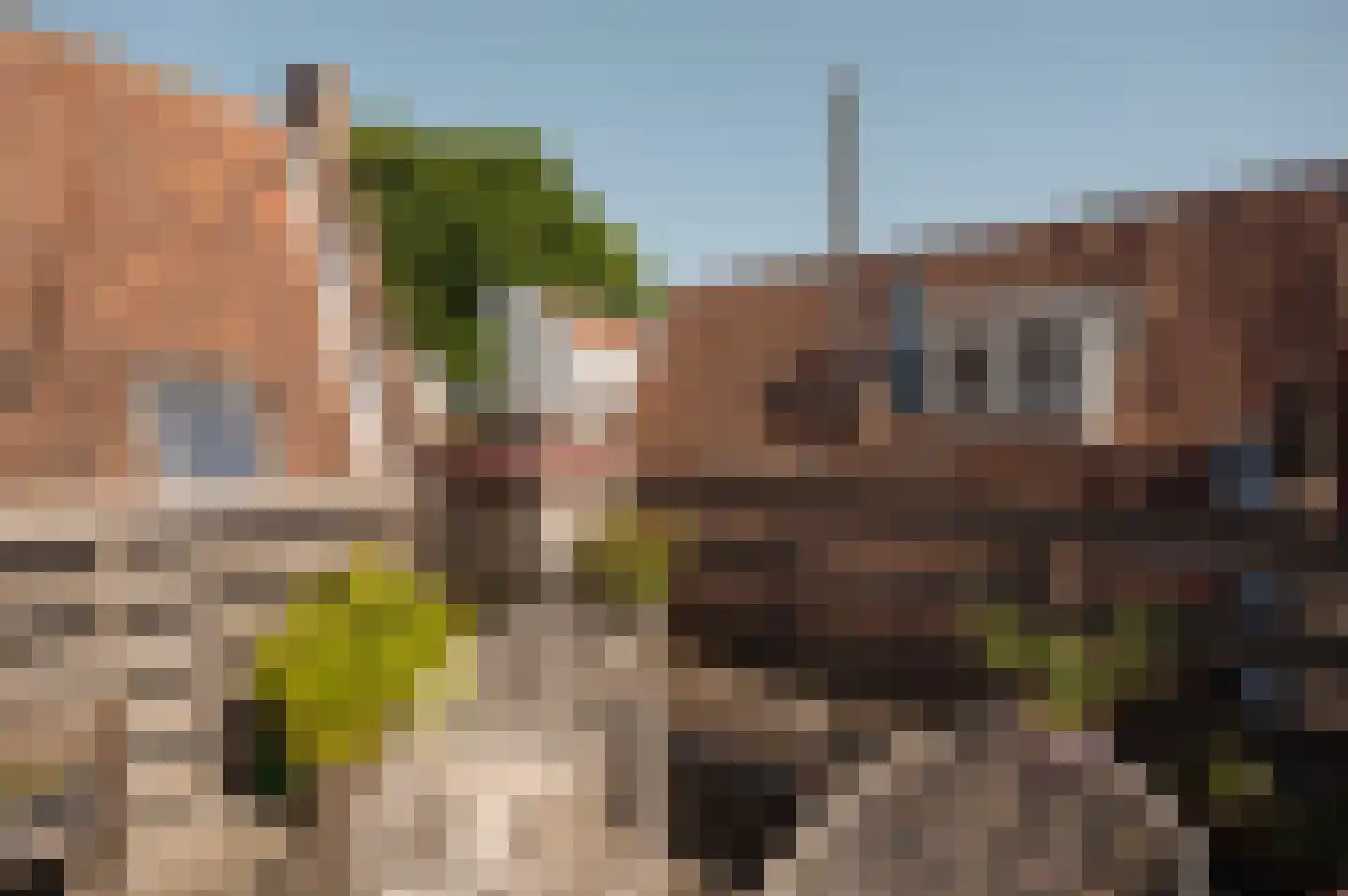 Brouwersgracht 60 B Amsterdam thumbnail 12