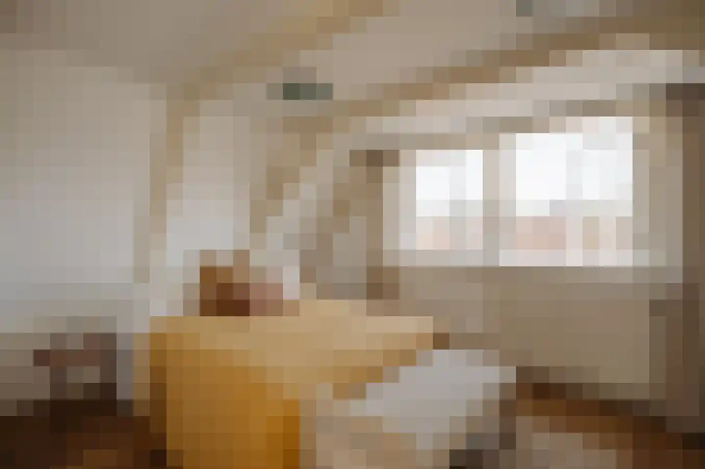 Brouwersgracht 60 B Amsterdam thumbnail 15