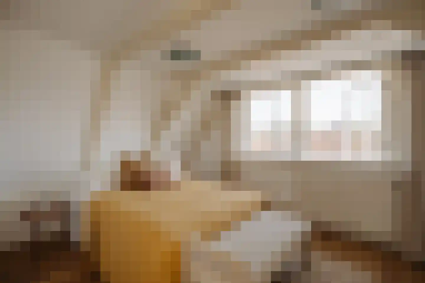Brouwersgracht 60 B Amsterdam thumbnail 15