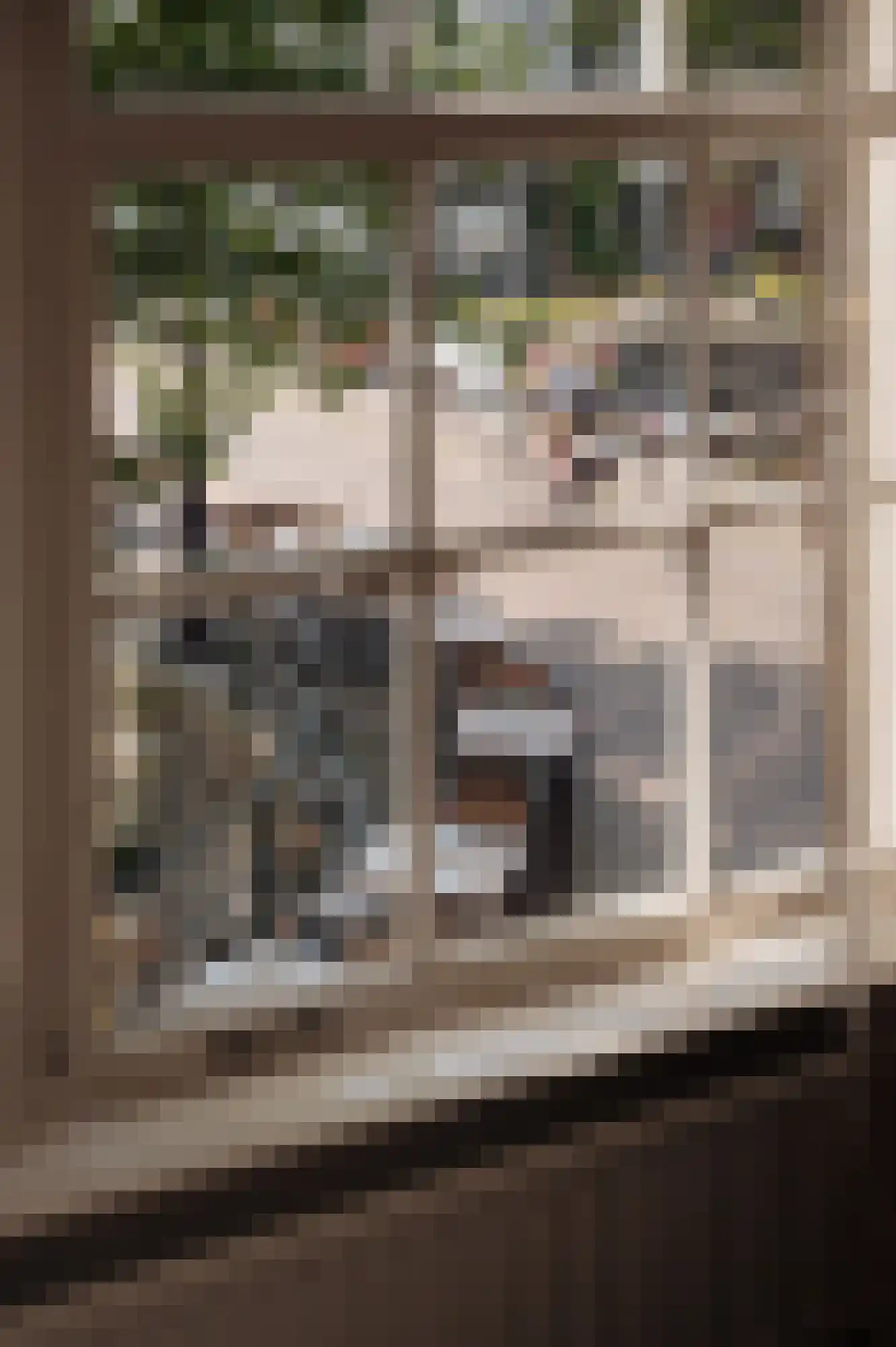 Brouwersgracht 60 B Amsterdam thumbnail 23