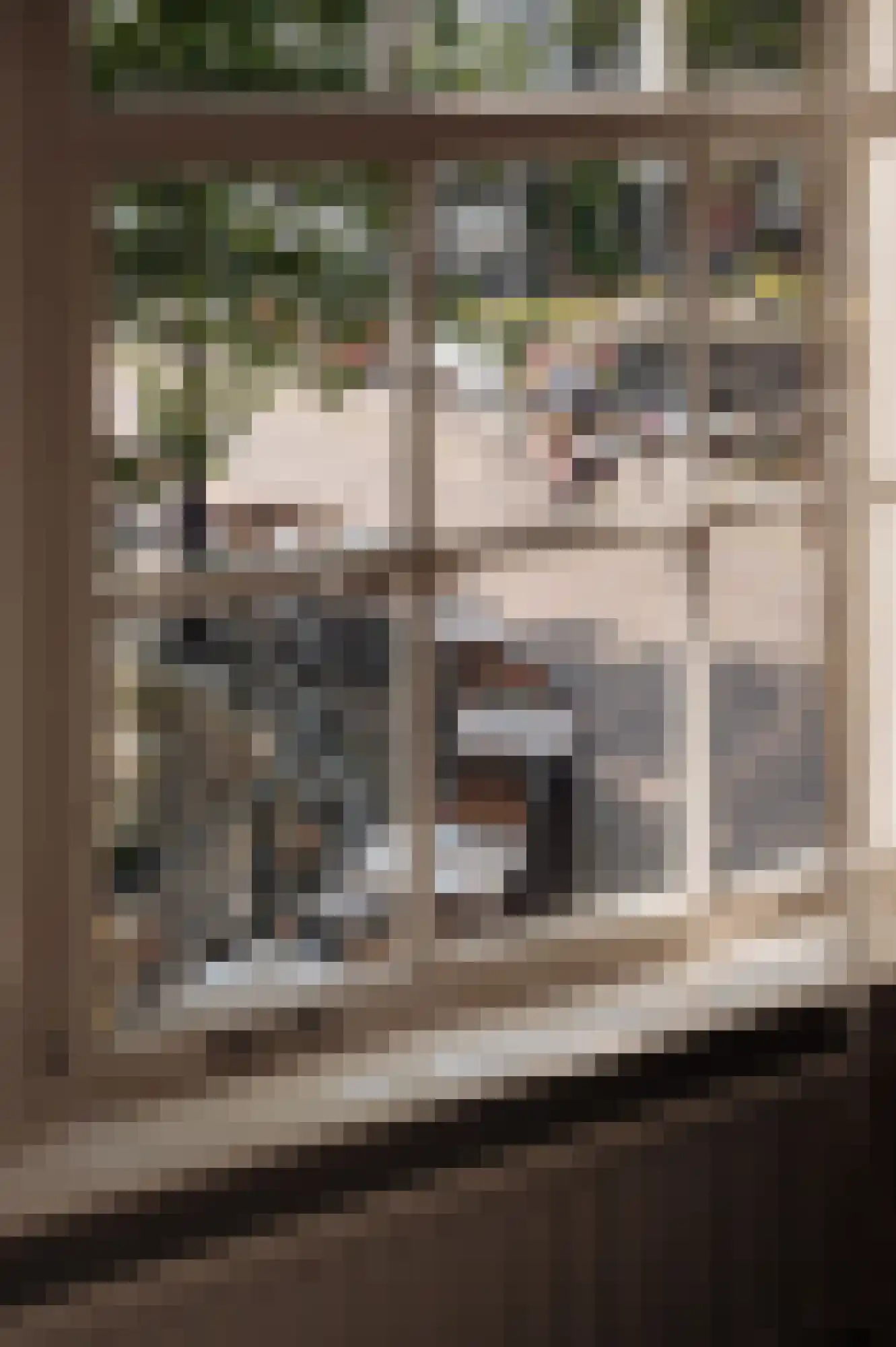 Brouwersgracht 60 B Amsterdam thumbnail 23