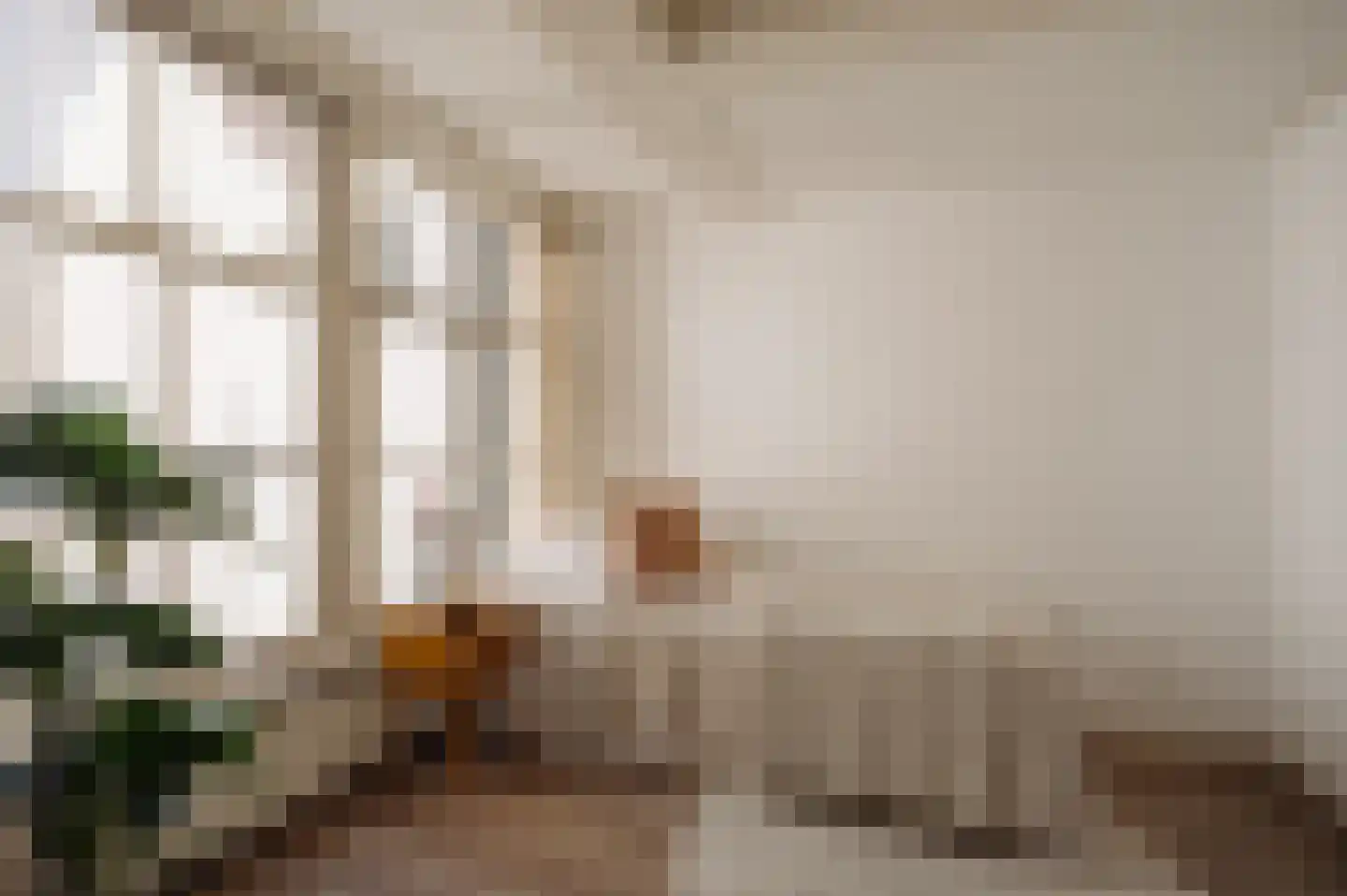 Brouwersgracht 60 B Amsterdam thumbnail 26