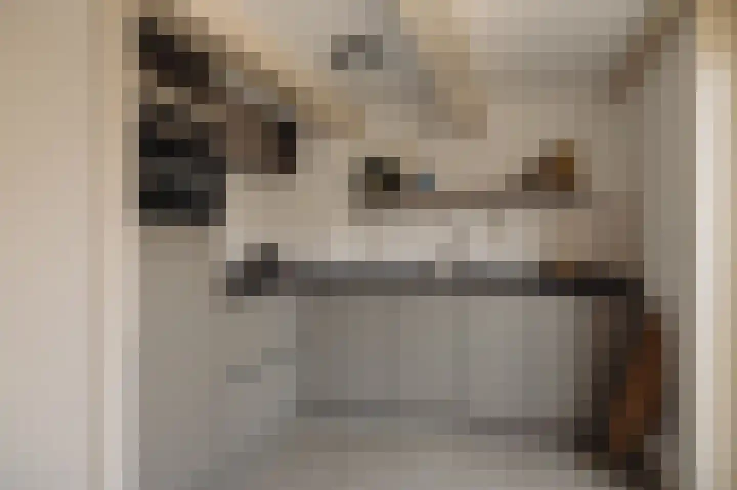 Brouwersgracht 60 B Amsterdam thumbnail 8