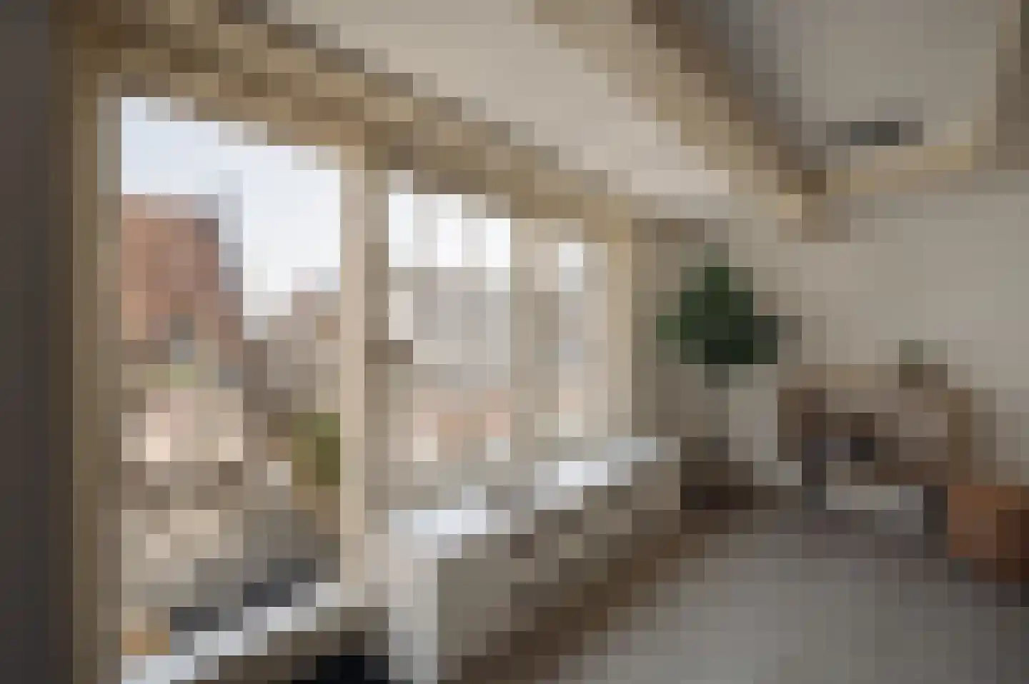 Brouwersgracht 60 B Amsterdam thumbnail 9