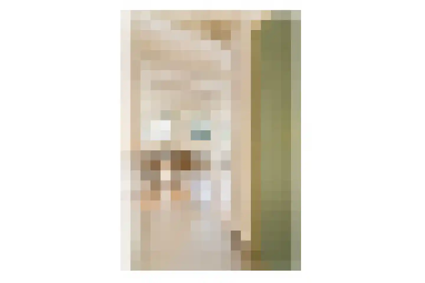 Brouwersgracht 623 Amsterdam thumbnail 10