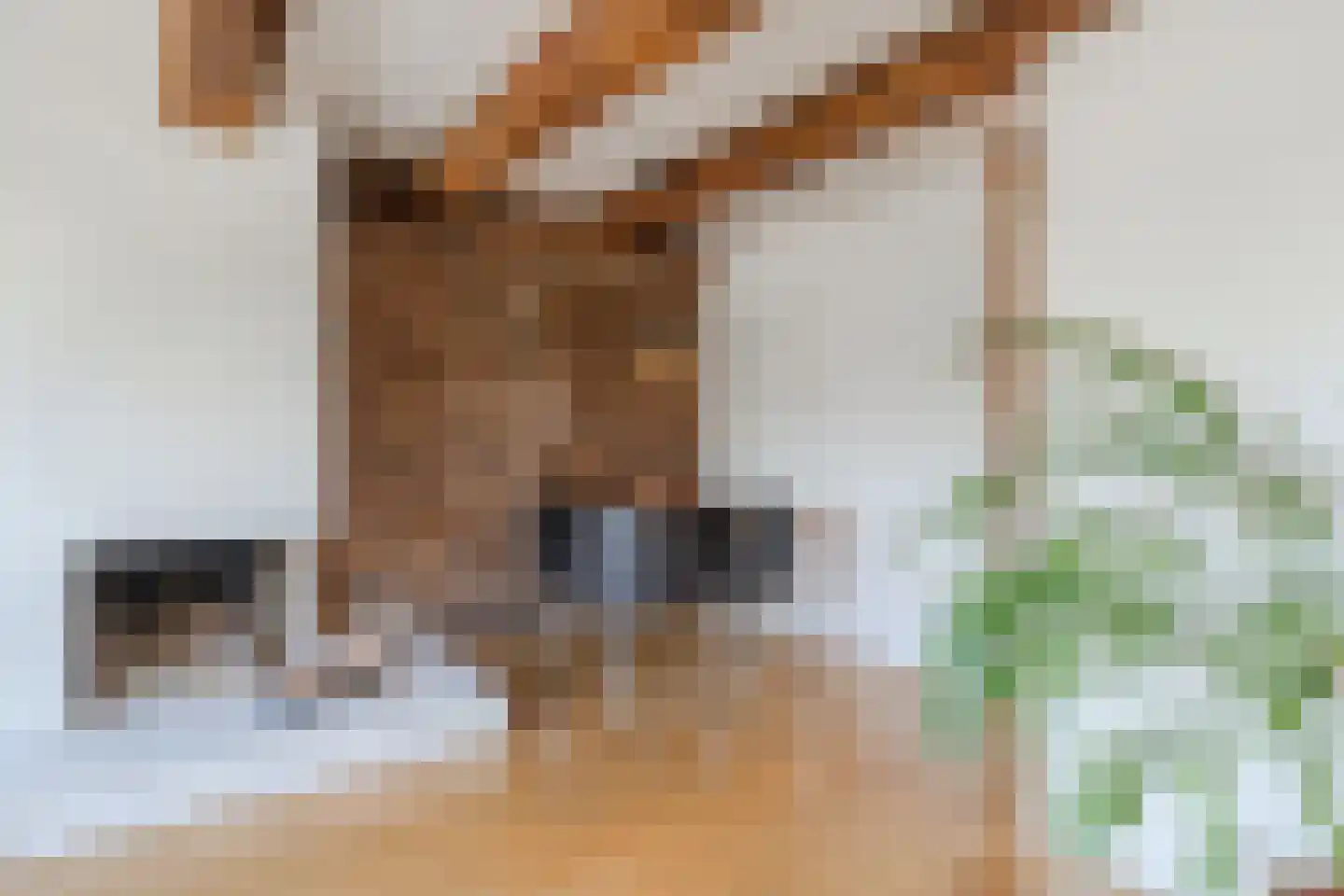 Brouwersgracht 657 Amsterdam thumbnail 11