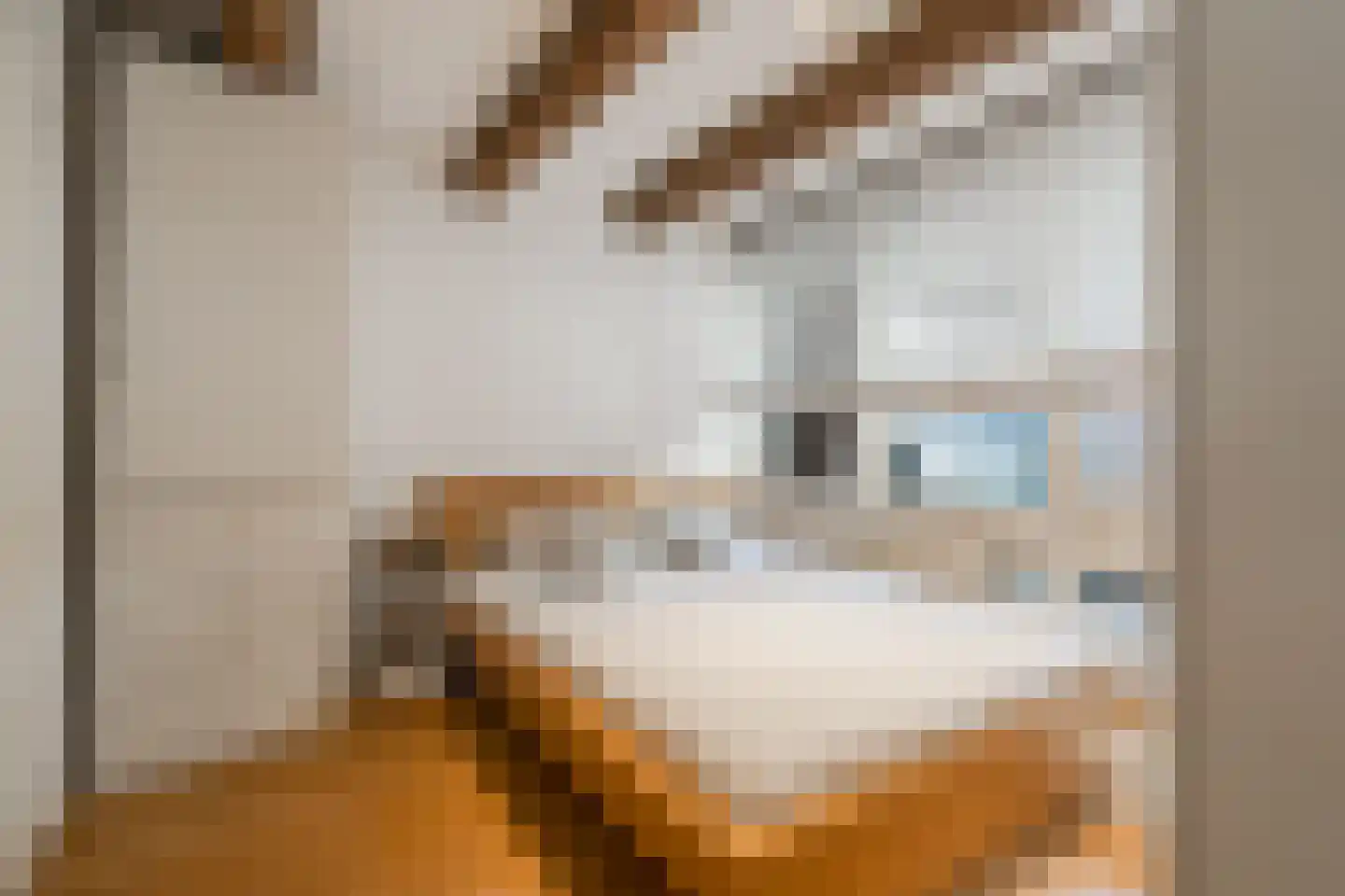 Brouwersgracht 657 Amsterdam thumbnail 27