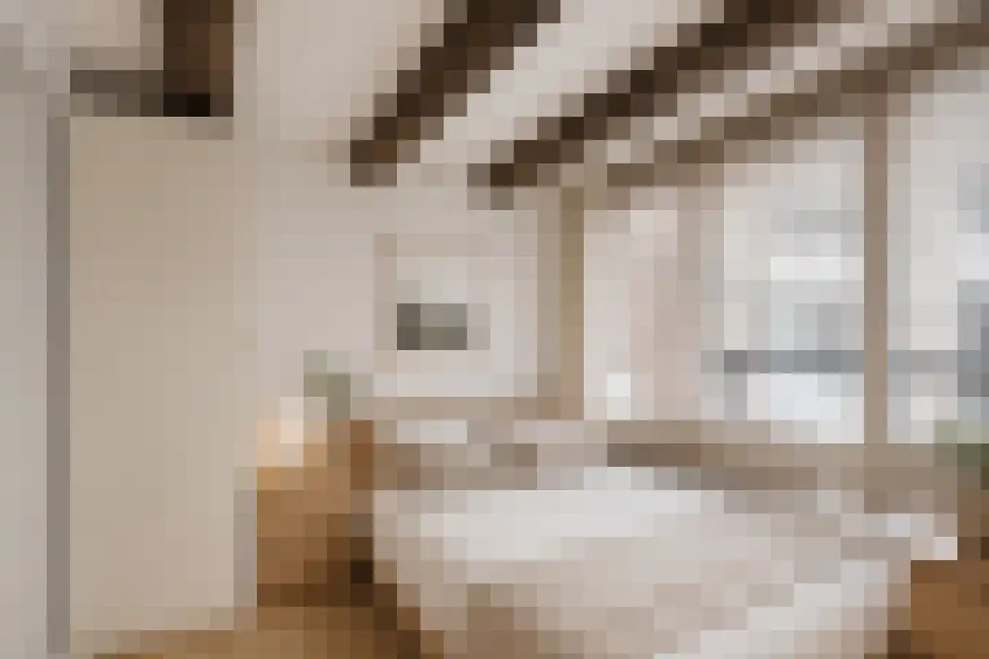 Brouwersgracht 657 Amsterdam thumbnail 29