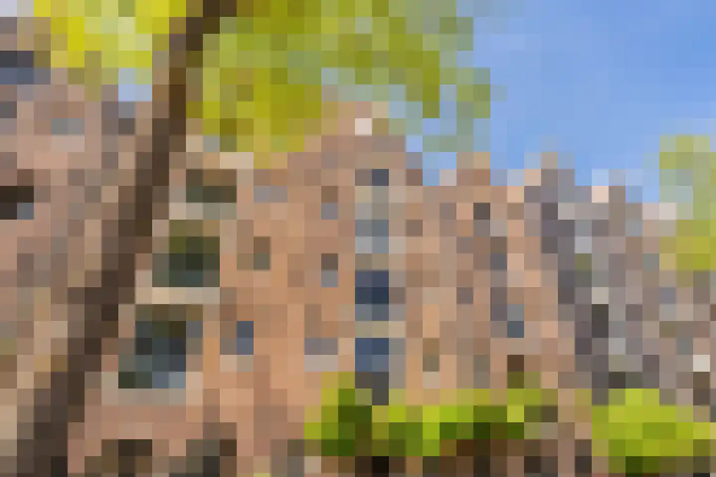 Brouwersgracht 657 Amsterdam thumbnail 37