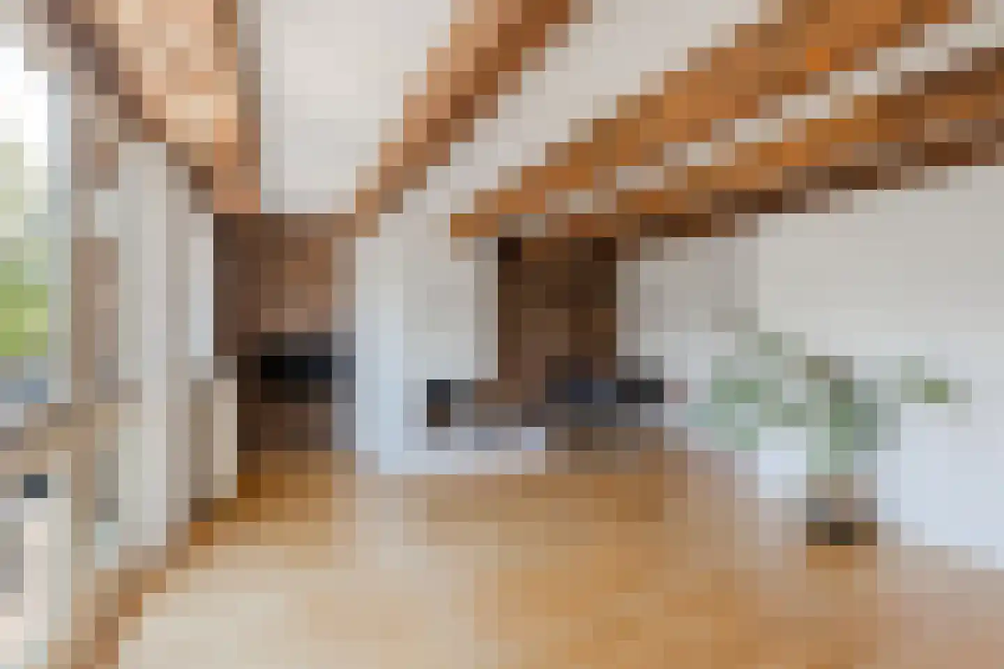 Brouwersgracht 657 Amsterdam thumbnail 7