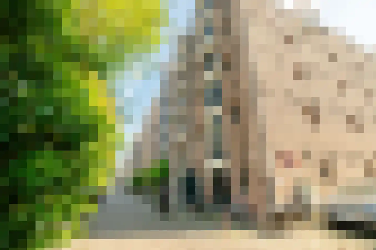 Brouwersgracht 703 Amsterdam thumbnail 43