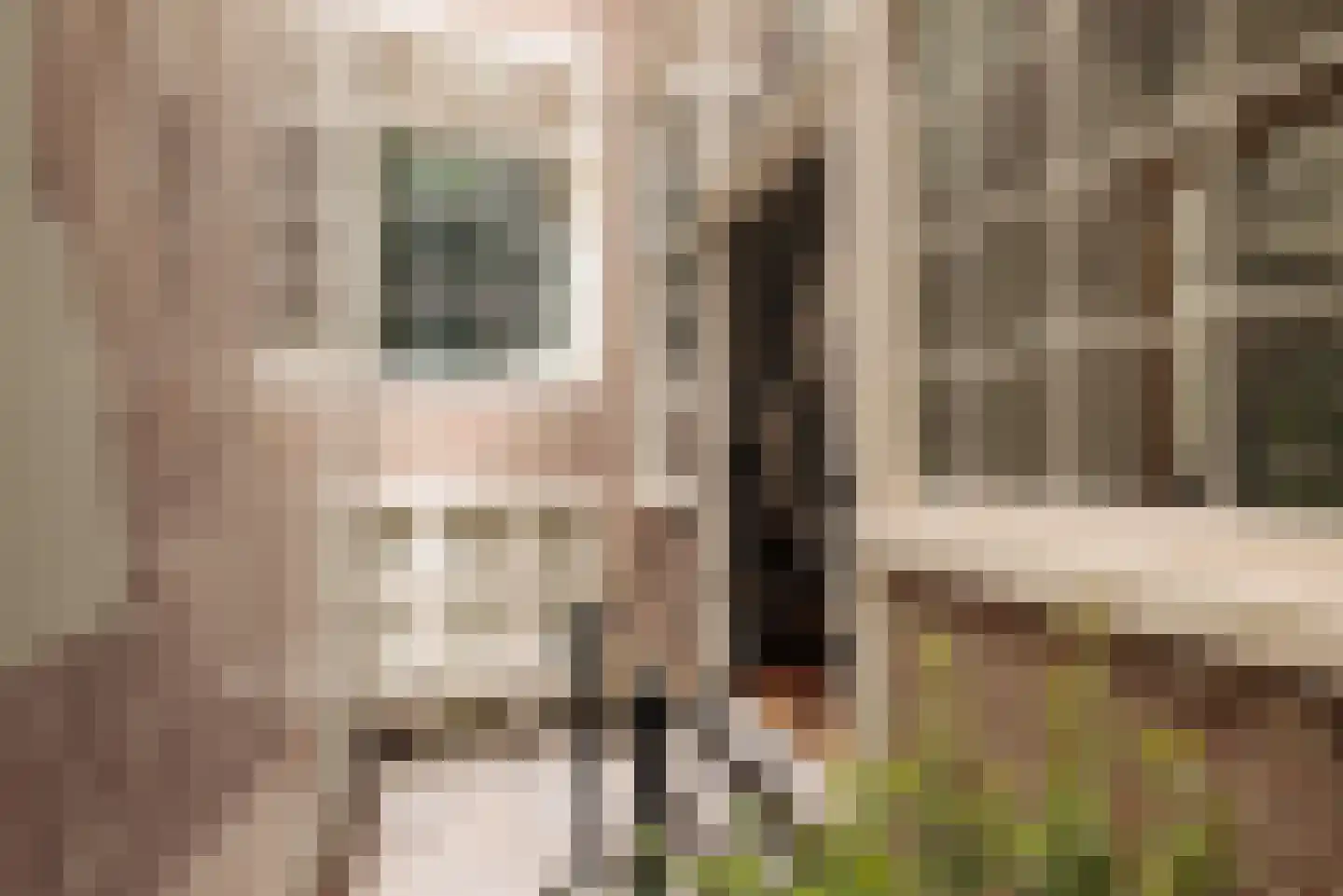 Brouwersgracht 78 Amsterdam thumbnail 20