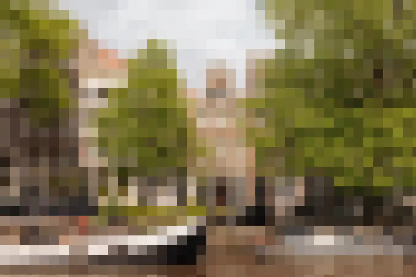 Brouwersgracht 78 Amsterdam thumbnail 40