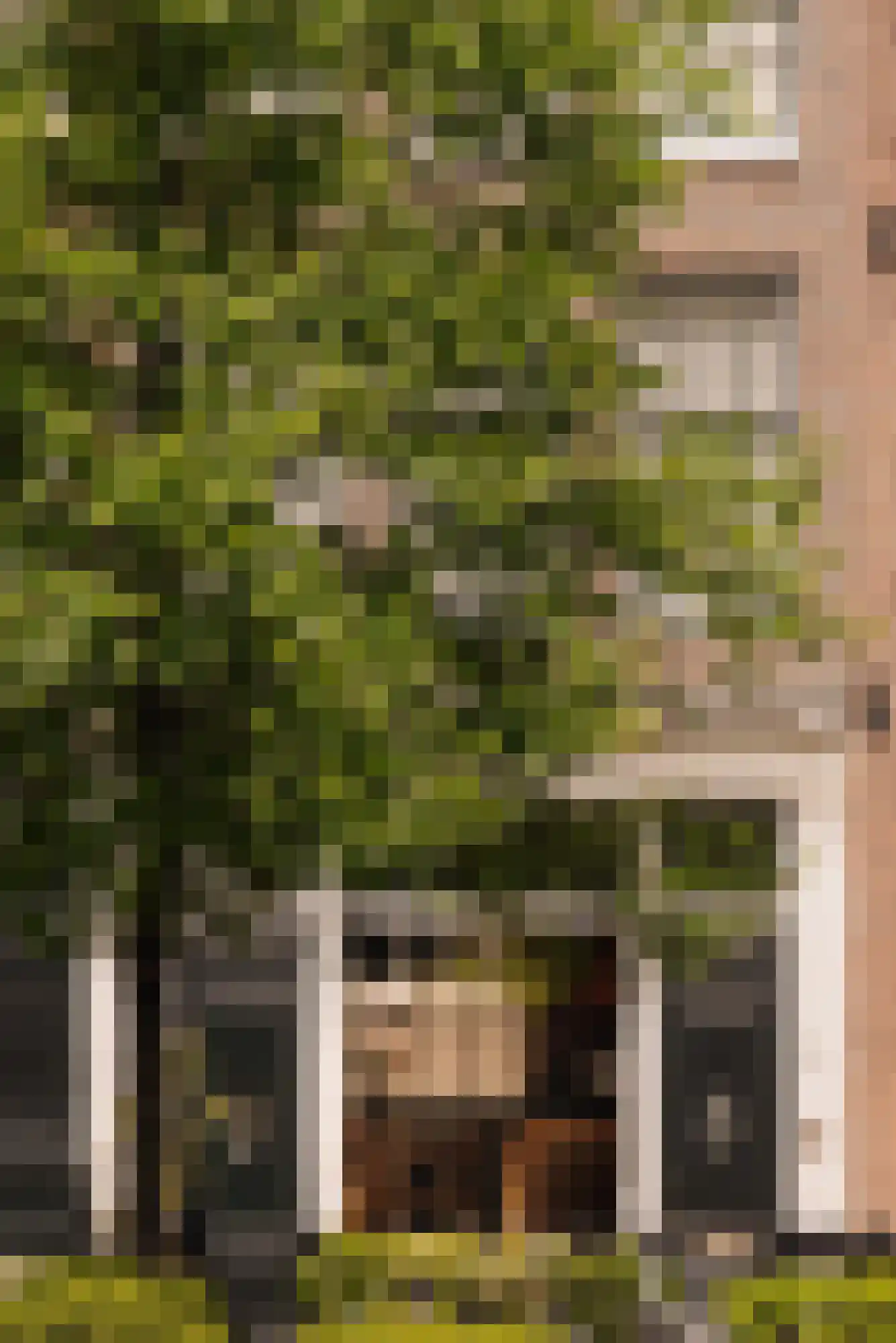 Brouwersgracht 78 Amsterdam thumbnail 42