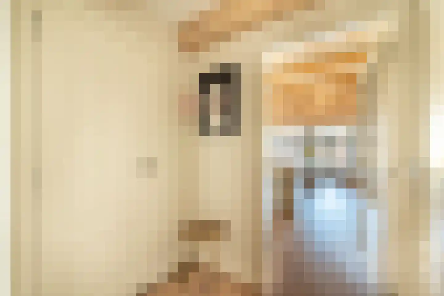 Brouwersgracht 801 Amsterdam thumbnail 20