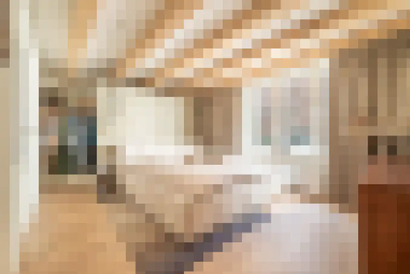 Brouwersgracht 801 Amsterdam thumbnail 23