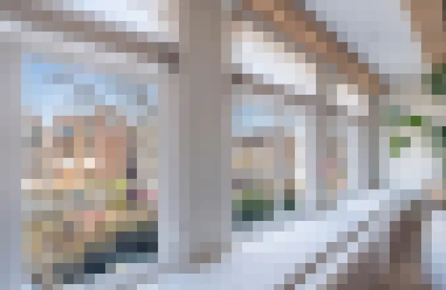 Brouwersgracht 801 Amsterdam thumbnail 7