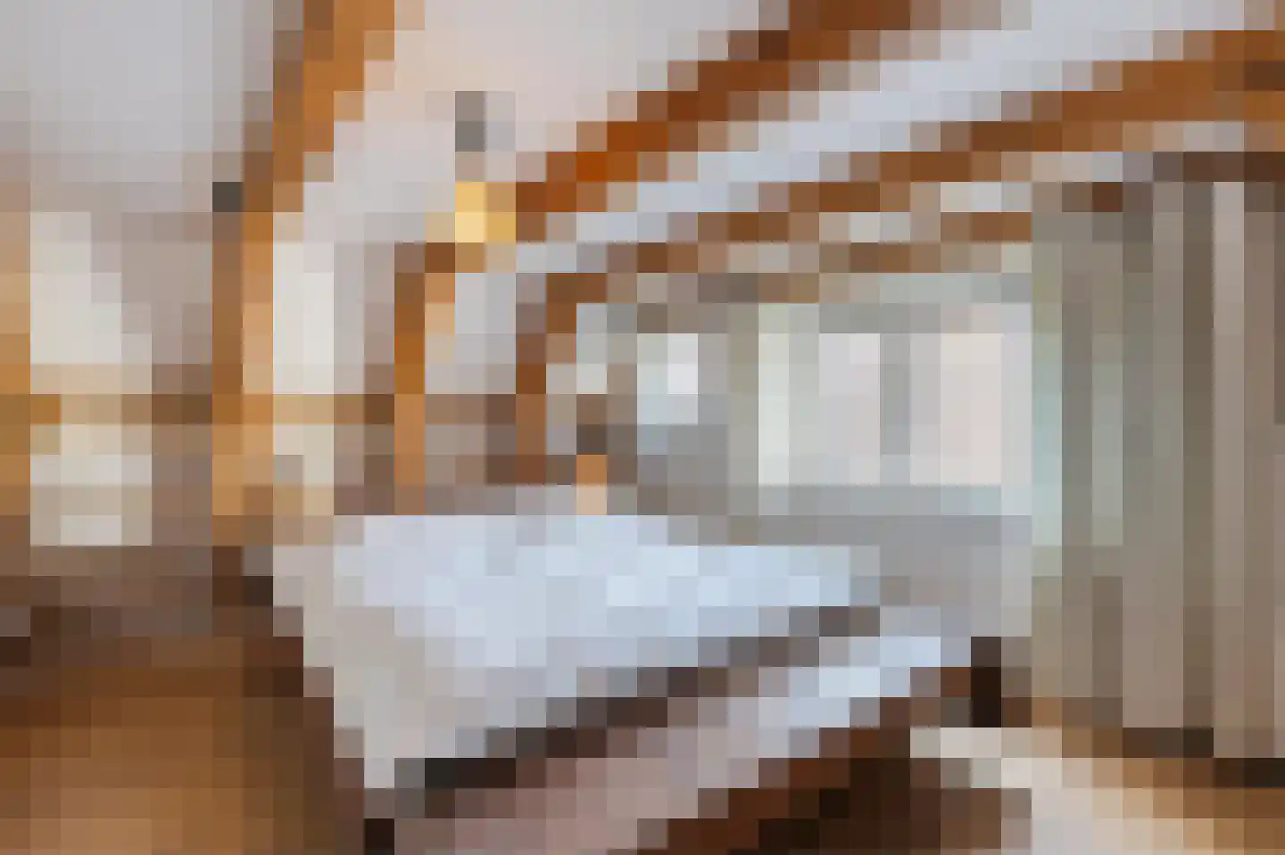 Brouwersgracht 813 Amsterdam thumbnail 13