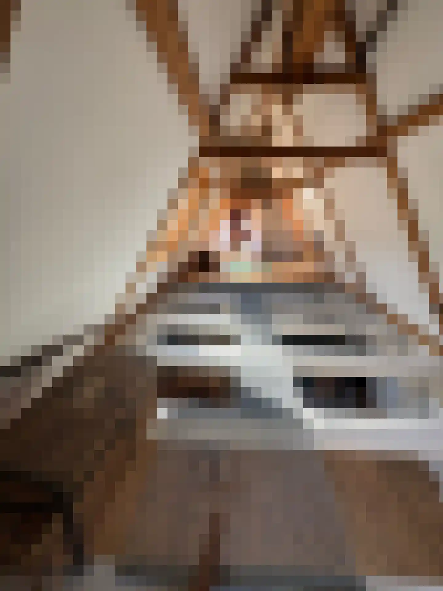 Brouwersgracht 813 Amsterdam thumbnail 20